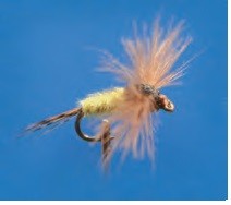 EMERGENTE SPENT OLIVA