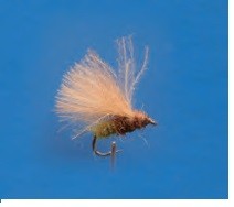 TRICOPTERO SARNOSO CDC