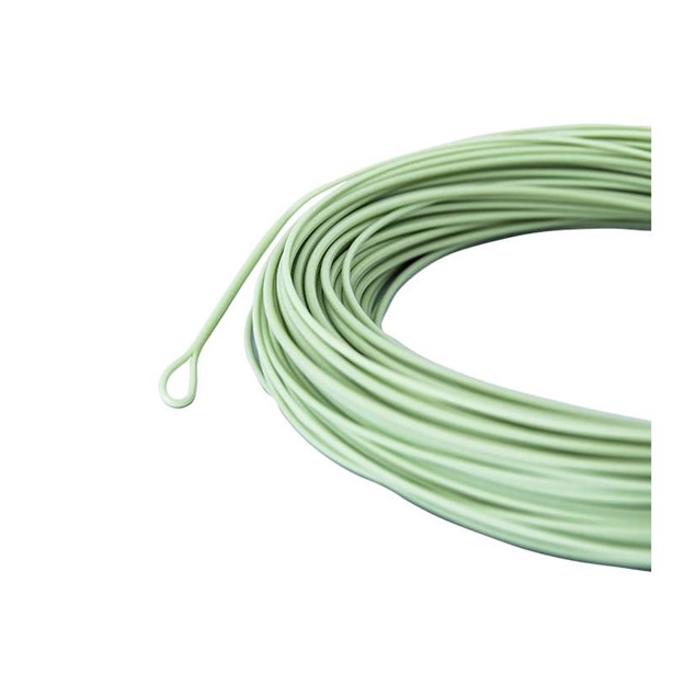 COLA DE RATA INTREPID FLY LINE - Imagen 2